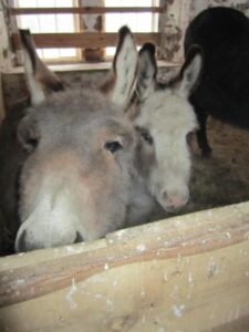 A New Year and a New Start Image